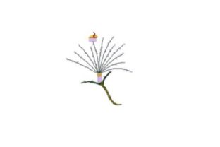 Embroidery Designer Review: Rest Stop for Bees Flower
